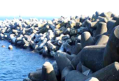 Moules tétrapodes