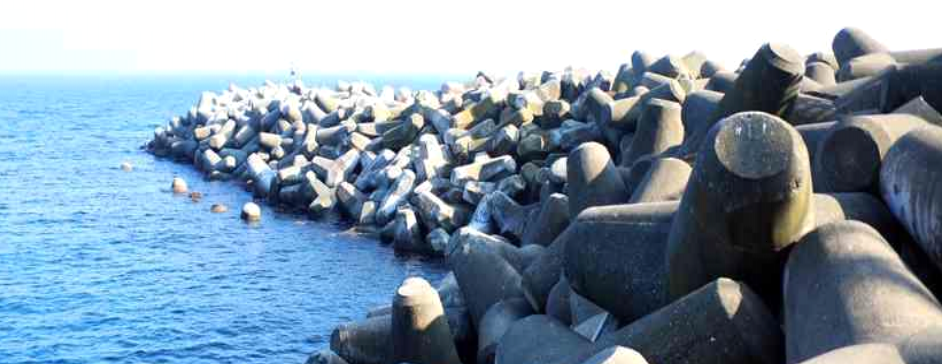 Moules tétrapodes