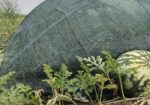 Filet d’ombrage agricole 70 % – AGROTEX 4 × 50 m