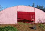 Couverture agricole blanc/rouge – AGROTEX 100 3,2 × 100 m