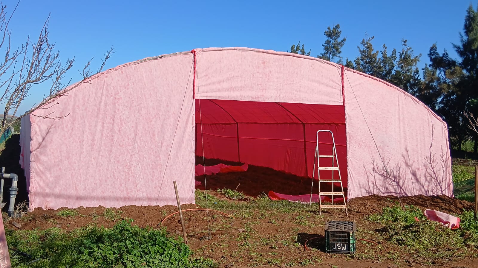 Couverture agricole blanc/rouge – AGROTEX 100 3,2 × 100 m