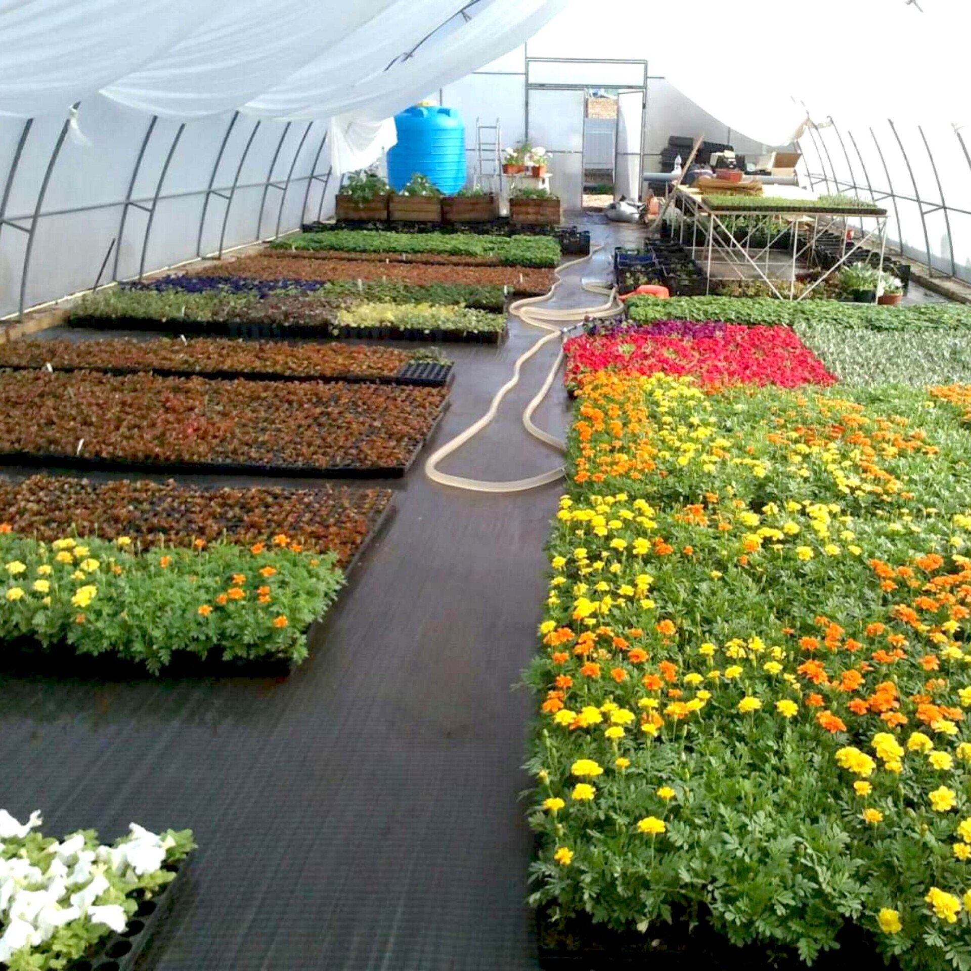 Géotextile paysager anti-adventices – AGROTEX Geotissu 150
