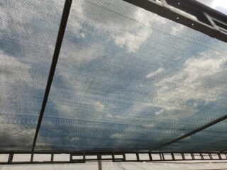 IMG_20220617_114658_1